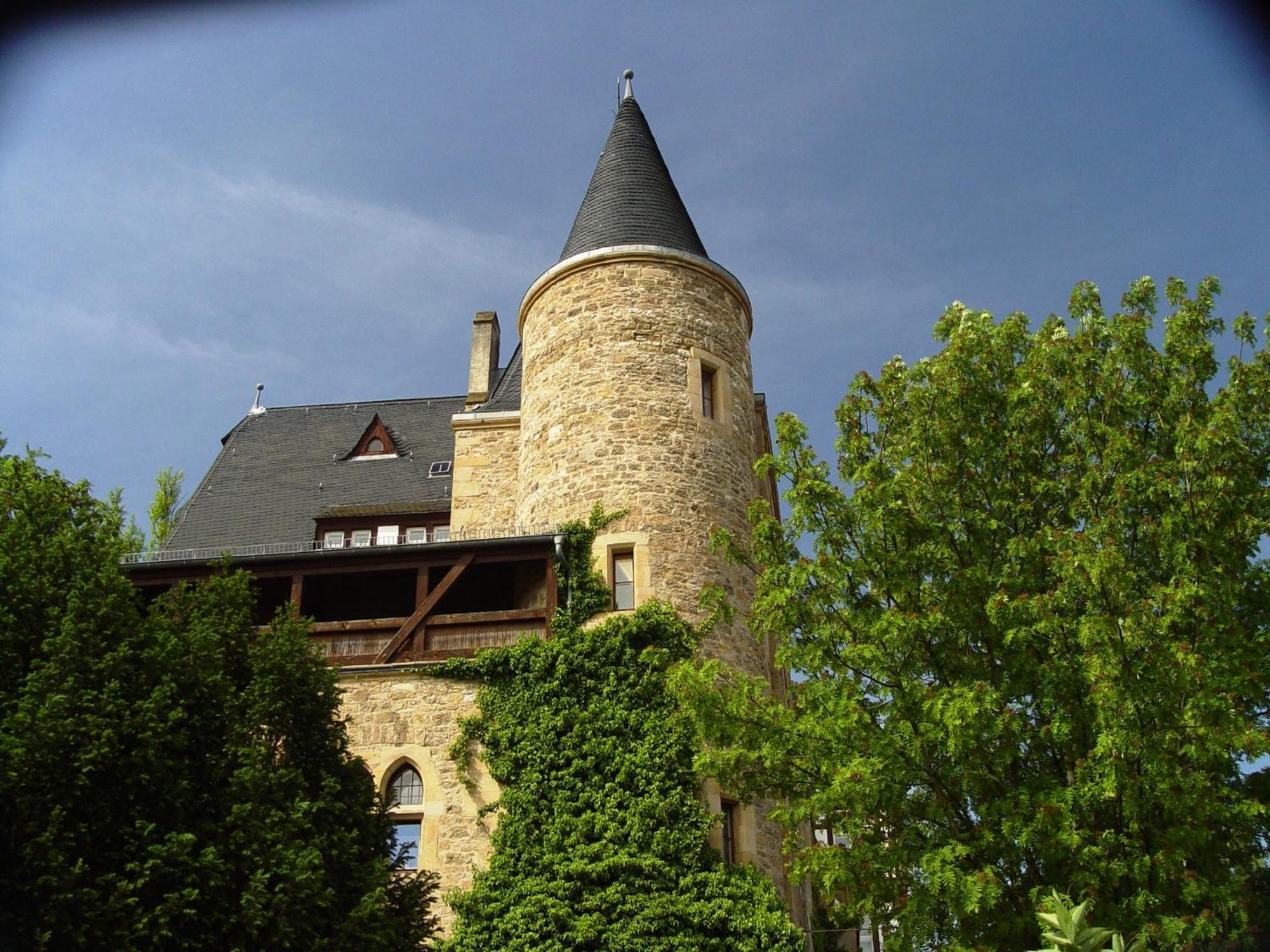 2 Zimmer Wohnung, Kueche, Bad, Balkon, Netflix Alzey Exterior photo